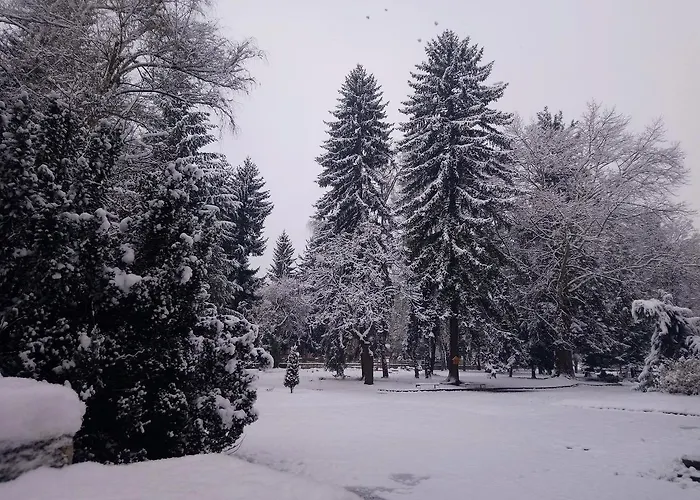 Gæstehus Pip Velingrad